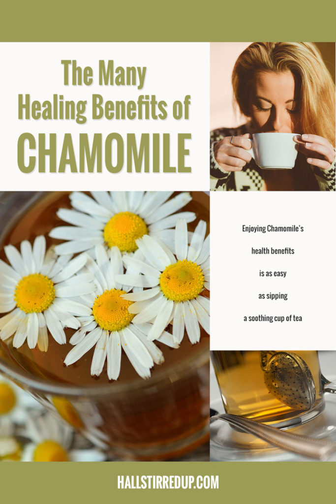 The Many Healing Benefits of Chamomile - Hall Stirred Up