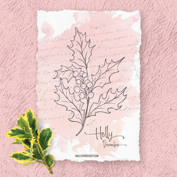 Festive Holly is December's Birth Flower Includes free printable