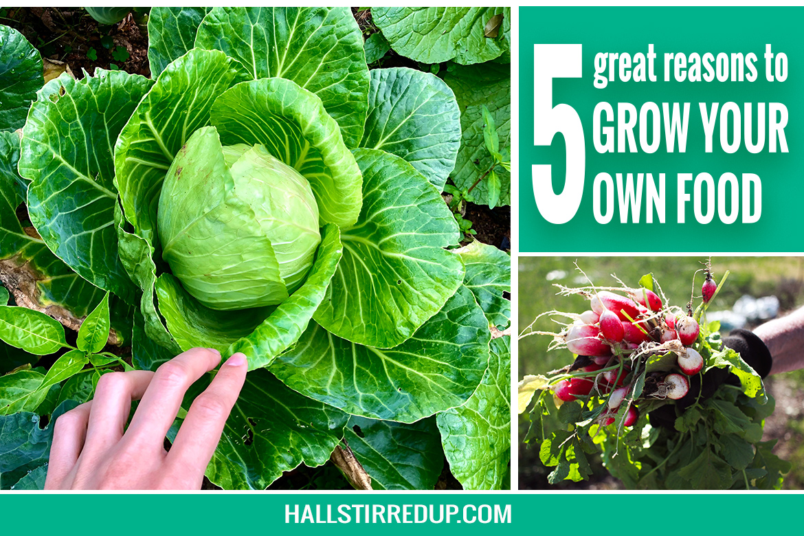 5 great reasons to grow your own food