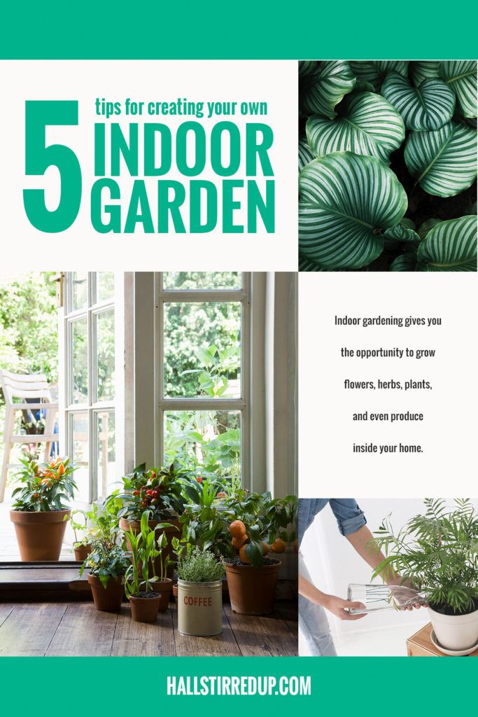 5 tips for creating your own indoor garden - Hall Stirred Up