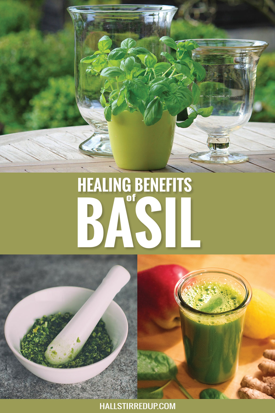 Beyond Pesto: The healing benefits of Basil