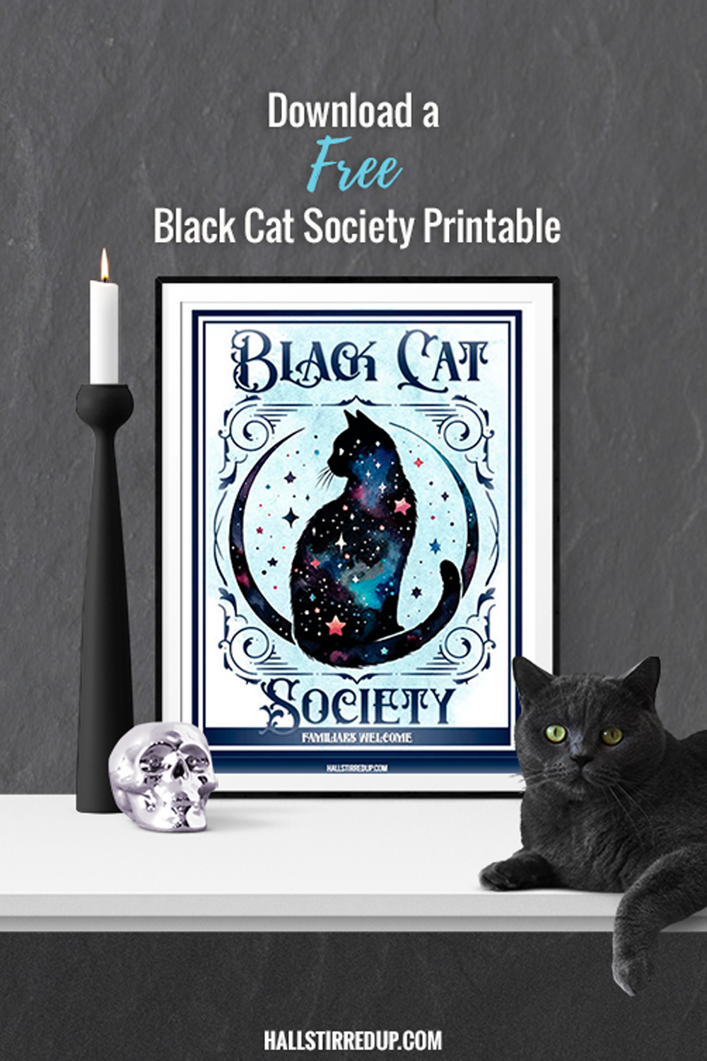 Celebrate Halloween with a free Black Cat Society printable