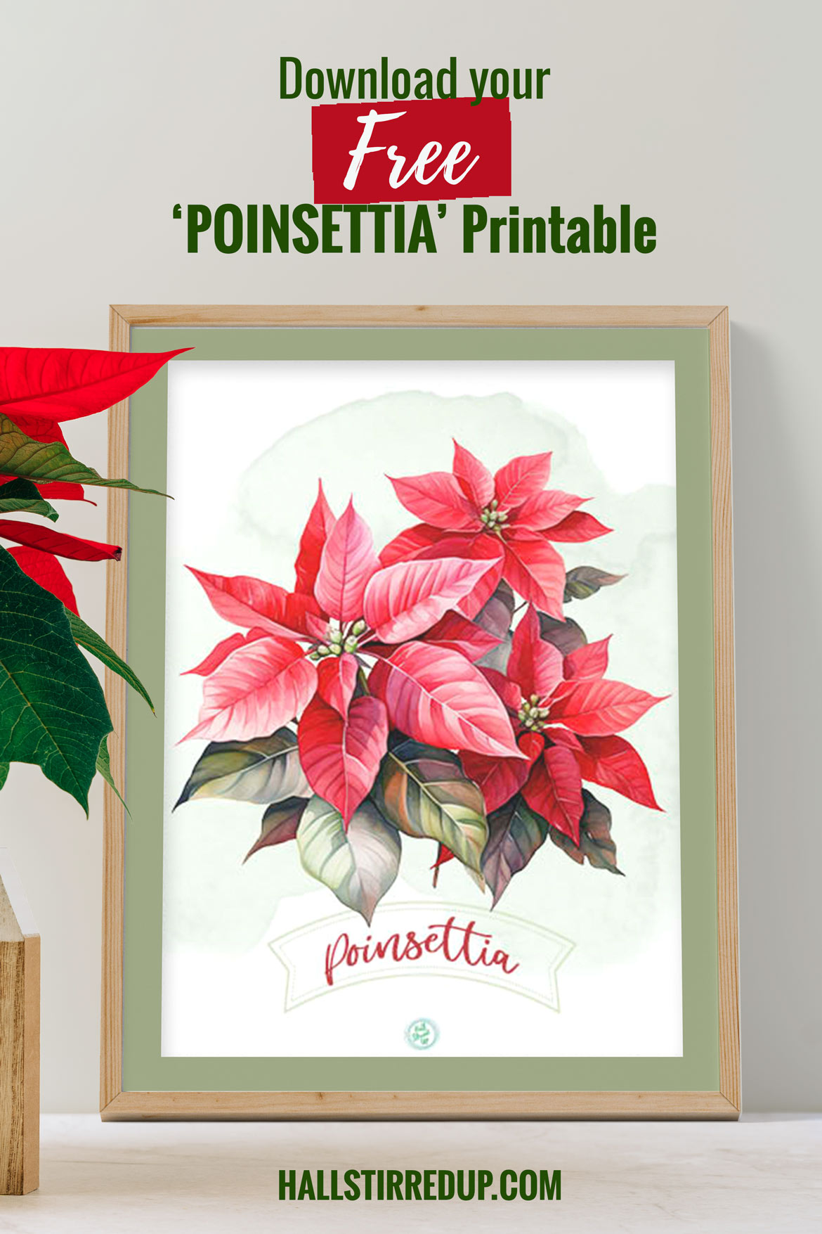 I love Poinsettias! Includes a free printable