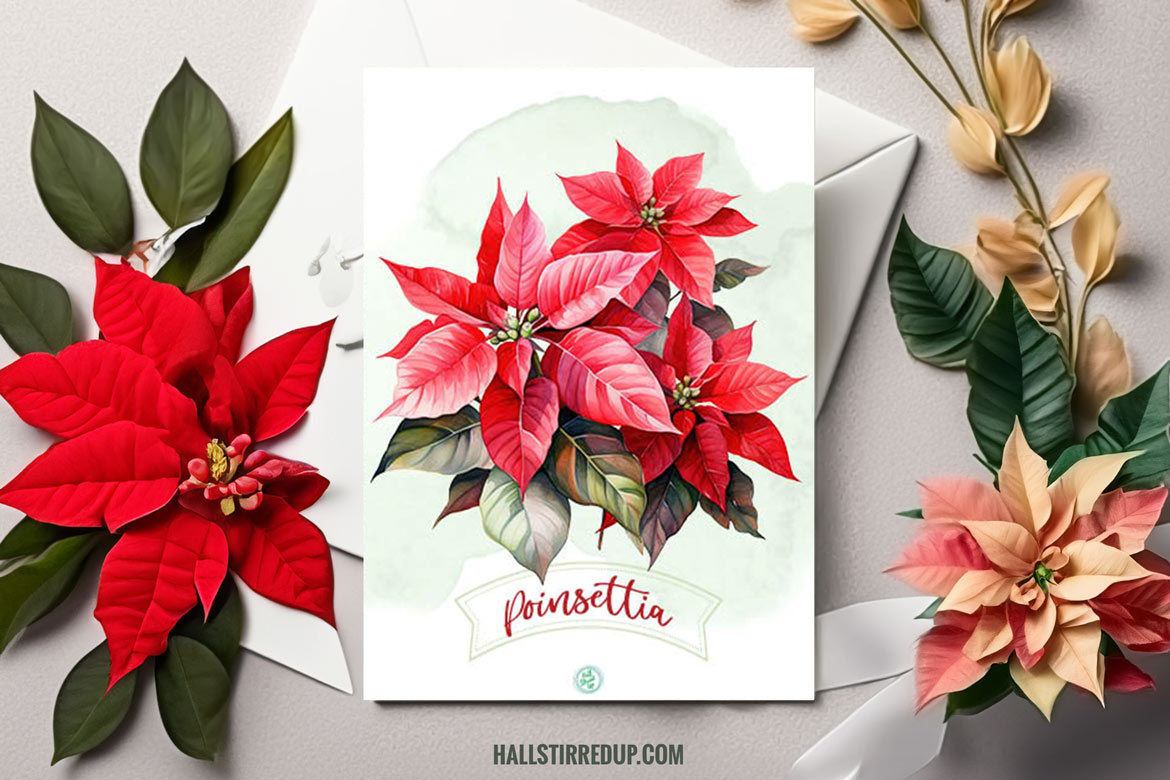 I love Poinsettias! Includes a free printable