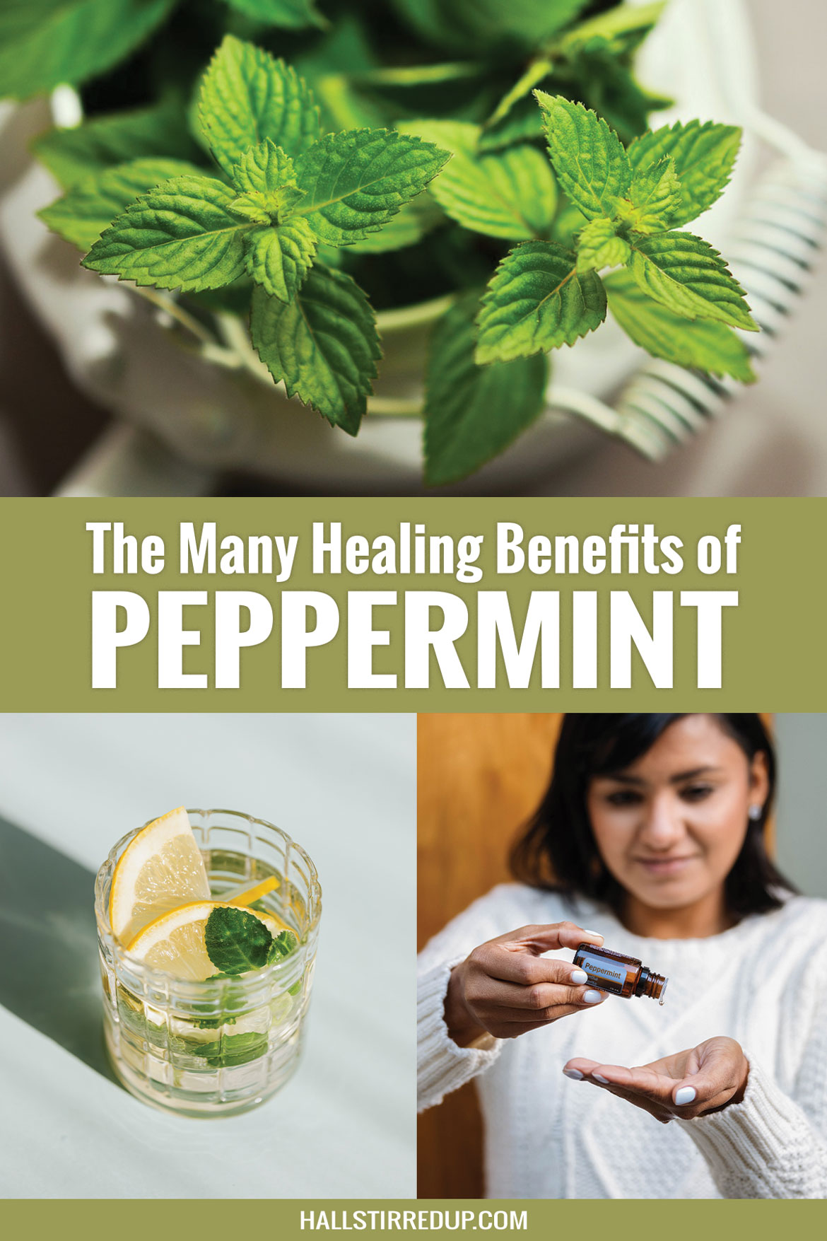 The many healing benefits of Peppermint